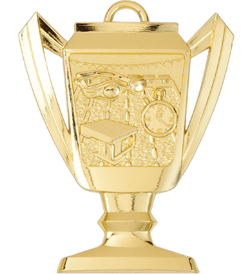 Gold Swimming Trophy Medal