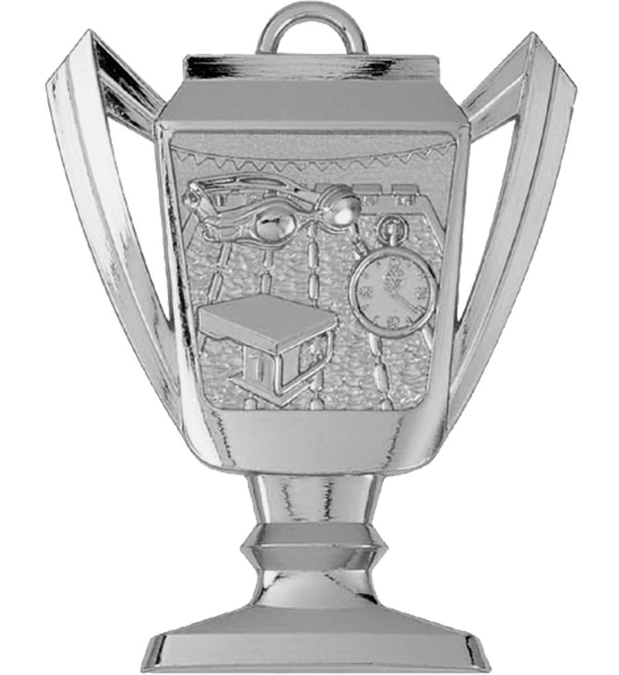 Silver Swimming Trophy Medal