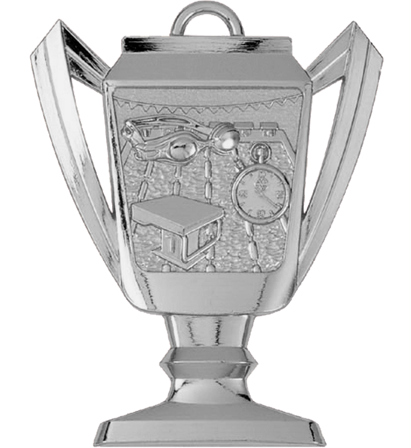 Silver Swimming Trophy Medal