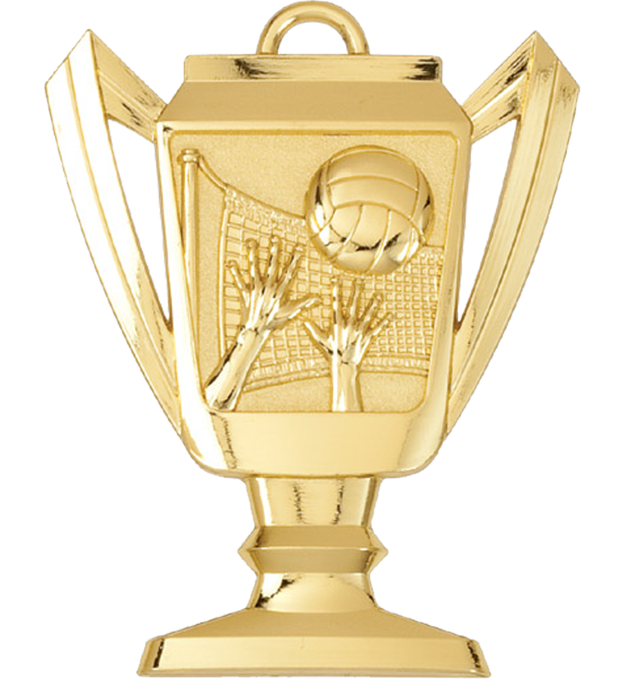 Gold Volleyball Trophy Medal