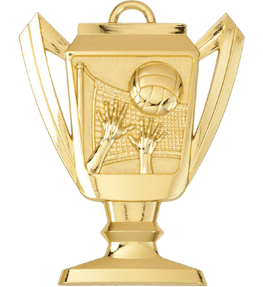 Volleyball Trophy Medal