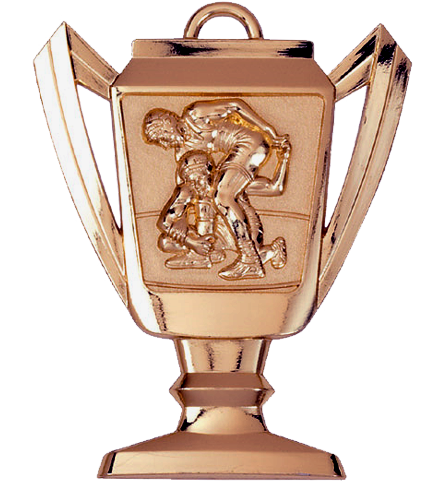 Bronze Wrestling Trophy Medal