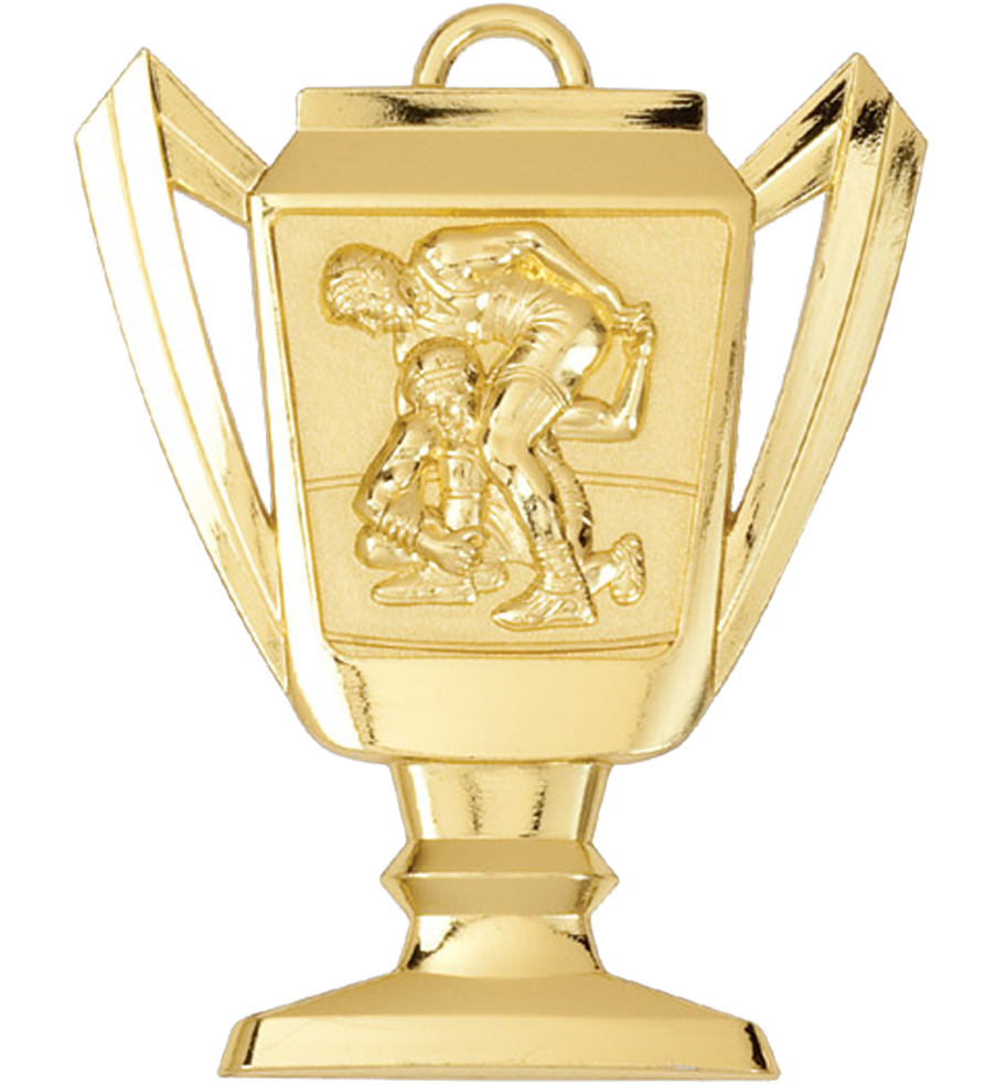 Gold Wrestling Trophy Medal