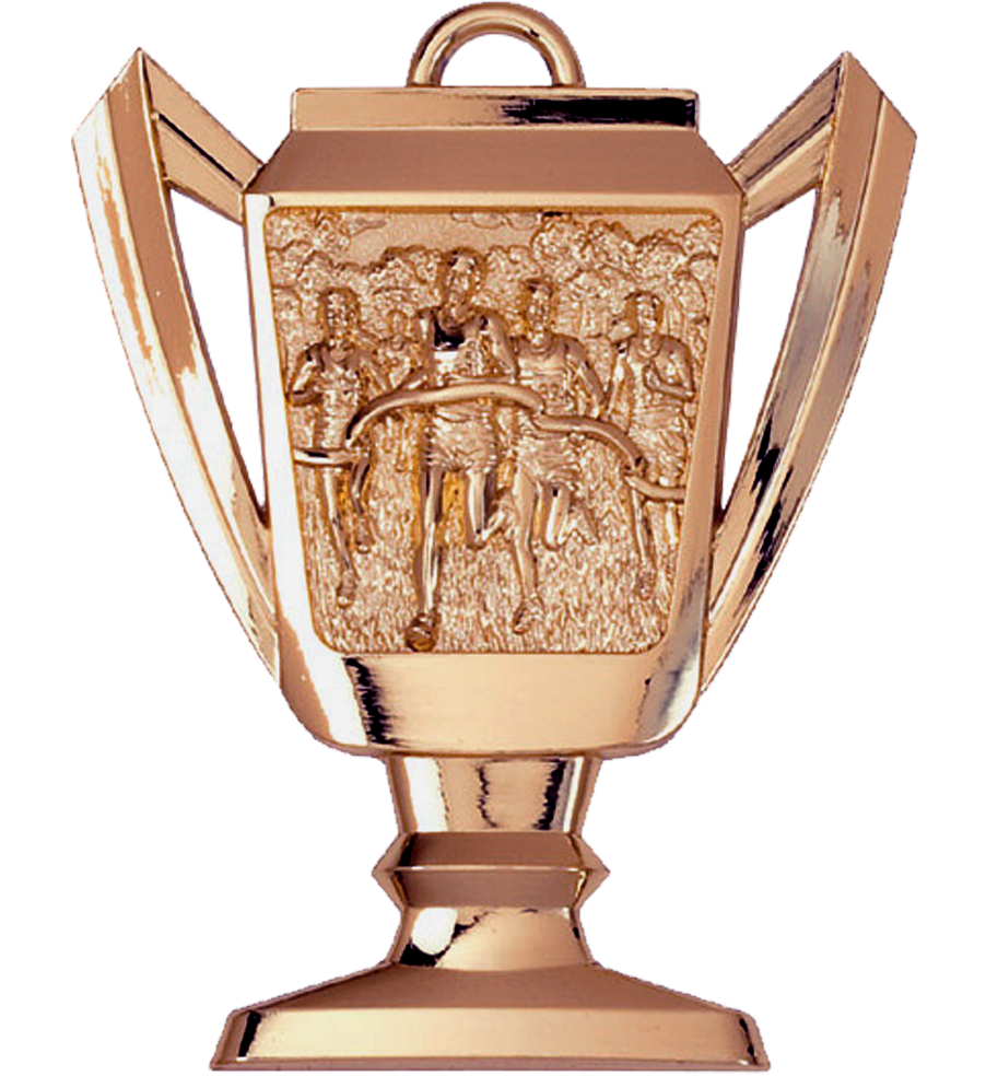 Bronze Cross Country Trophy Medal