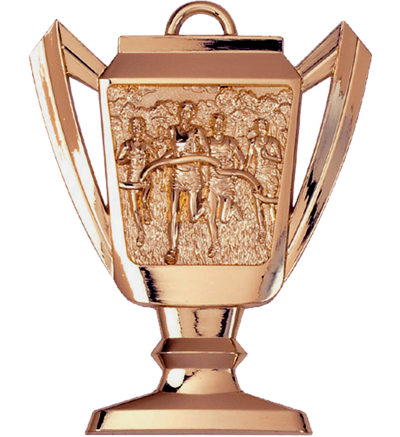 Bronze Cross Country Trophy Medal