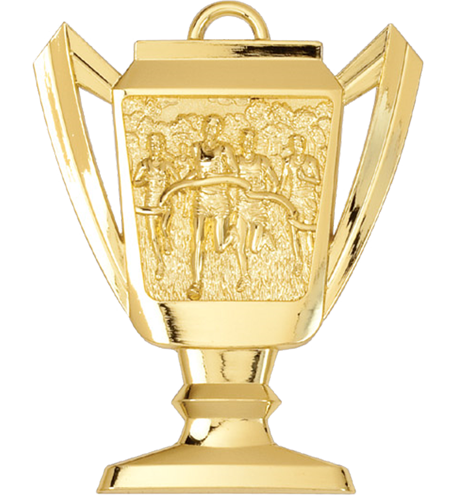 Gold Cross Country Trophy Medal