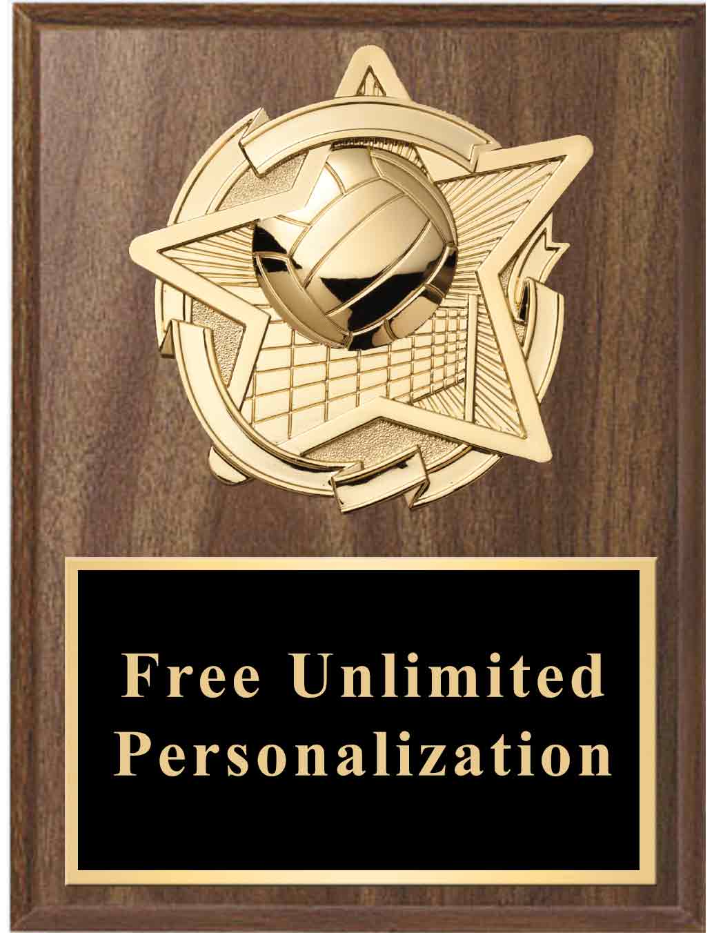 Walnut Gold Star Volleyball Standout Plaque