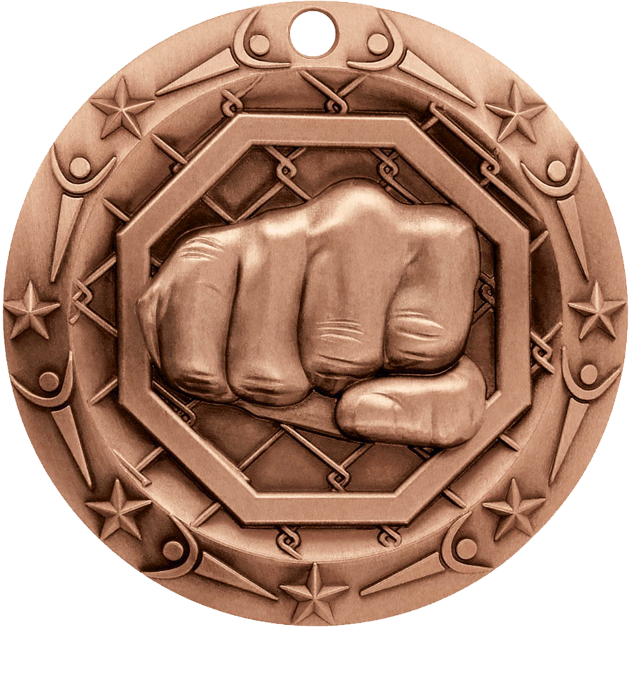 Bronze World Class MMA Medal