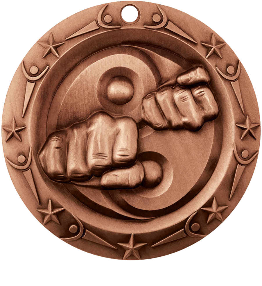 Bronze World Class Martial Arts Medal