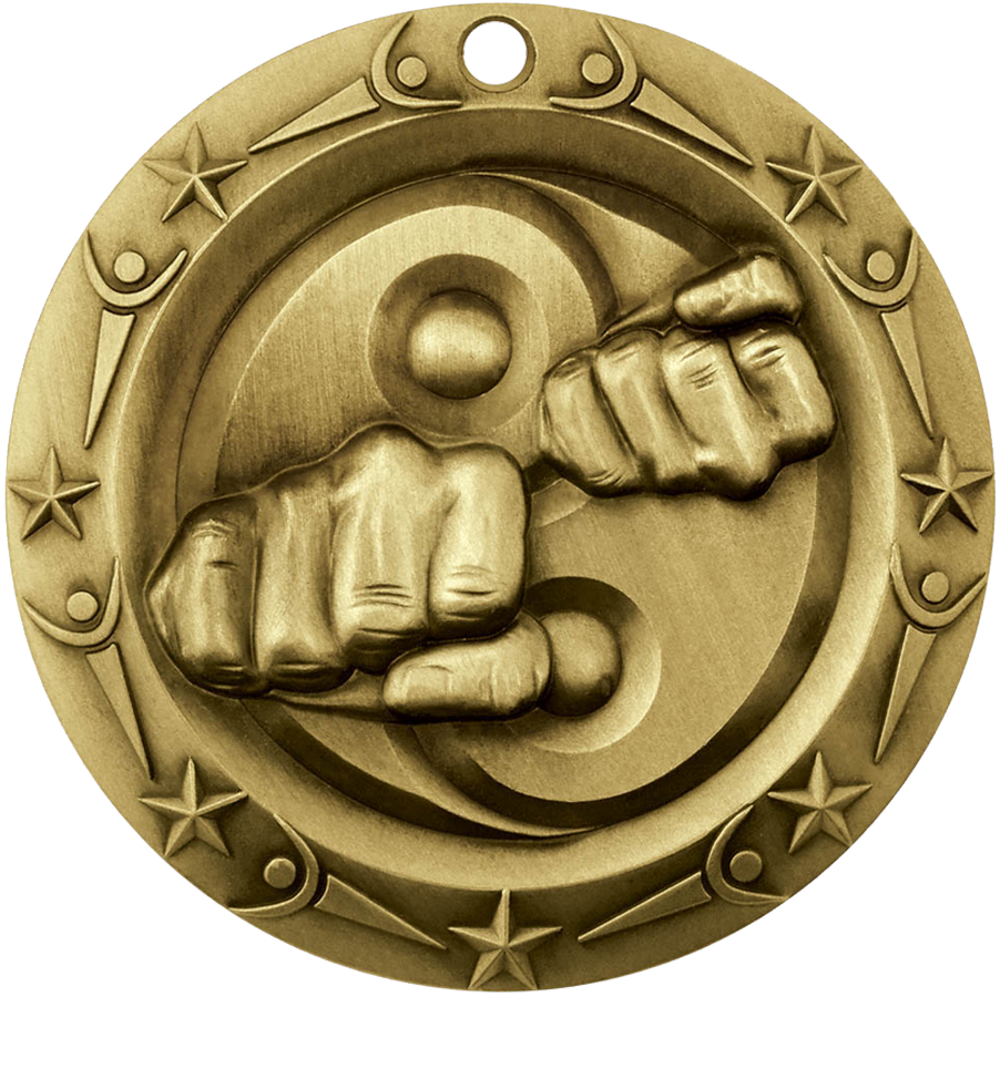 Gold World Class Martial Arts Medal