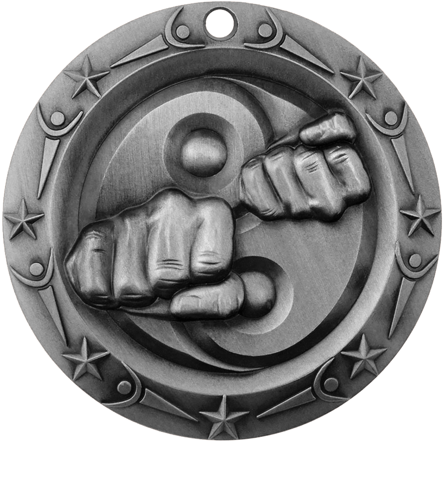 Silver World Class Martial Arts Medal