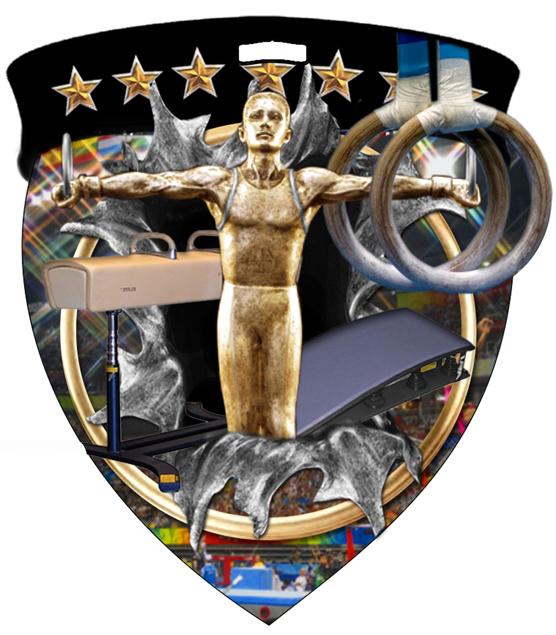 Male Gymnastics Color Shield Medal