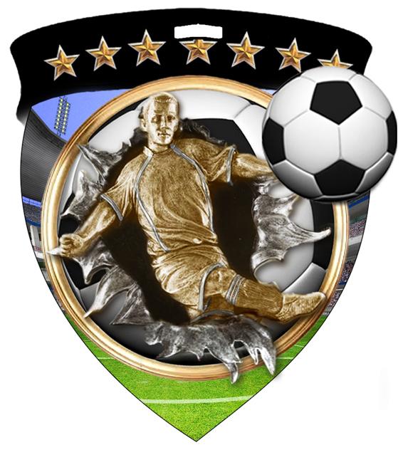 Male Soccer Color Shield Medal