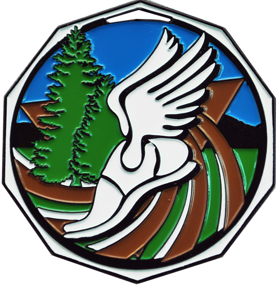 Bright Color Cross Country Medal