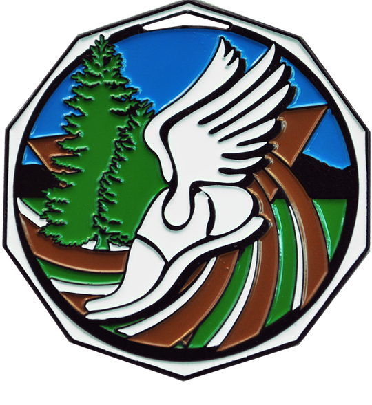 Bright Color Cross Country Medal