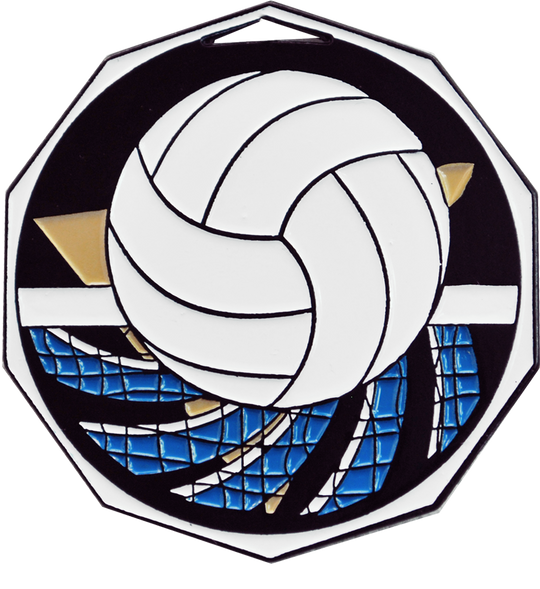 Bright Color Volleyball Medal