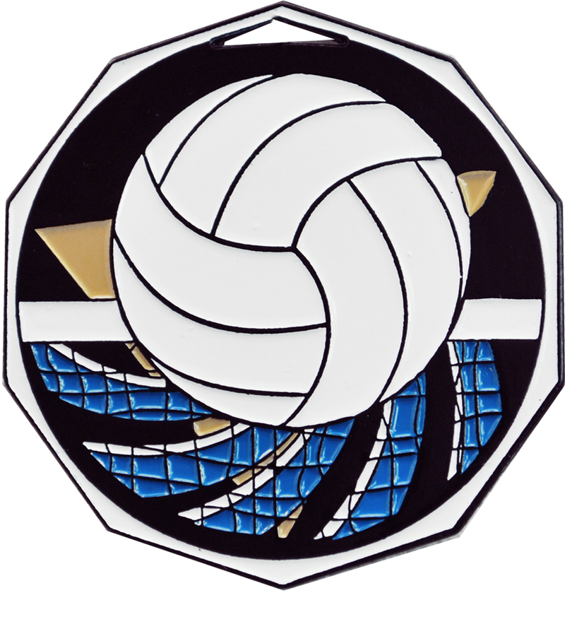 Bright Color Volleyball Medal