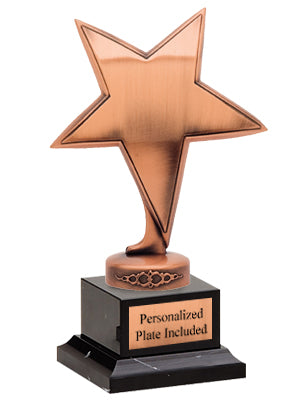 CAST METAL Bronze Star Award