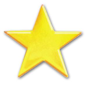 Service Pin – Star