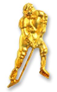 Sports Chenille Pin - Hockey