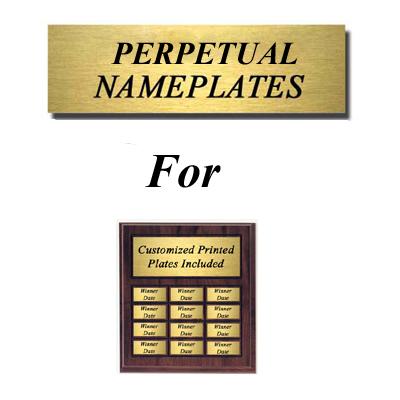 Satin 1.125 x 2.75 Perpetual Nameplate
